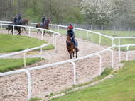 BP140425-28 - Squire Danagher (red hat)